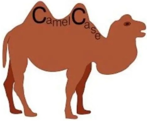 CamelCase.jpg