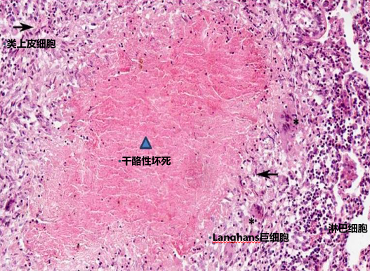 屏幕快照 2021-03-19 下午3.19.17.png