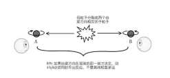 全屏显示 专题 章节