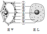 4.png 4.png