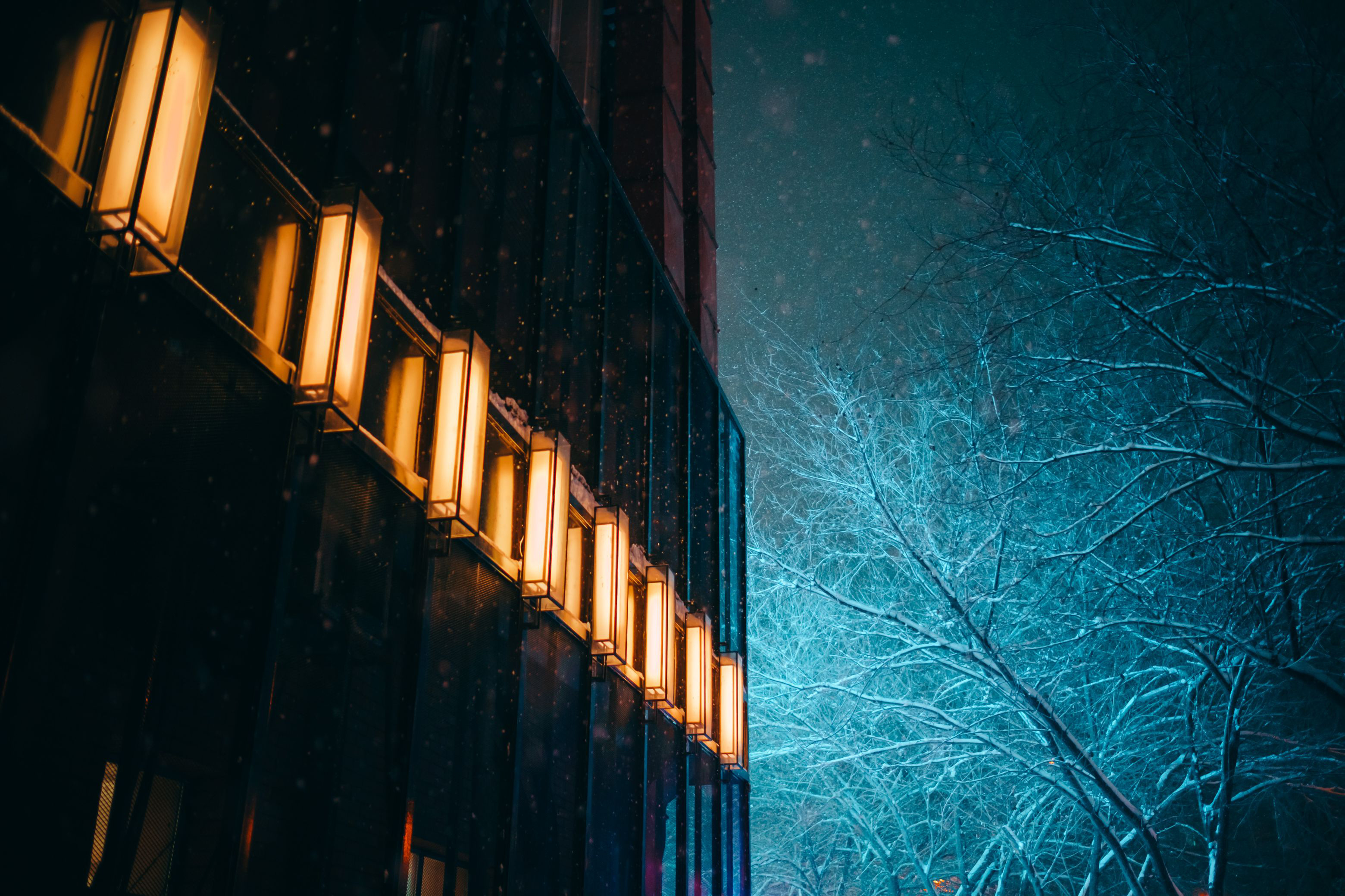 乌鲁木齐 中雪 扫街瞎拍