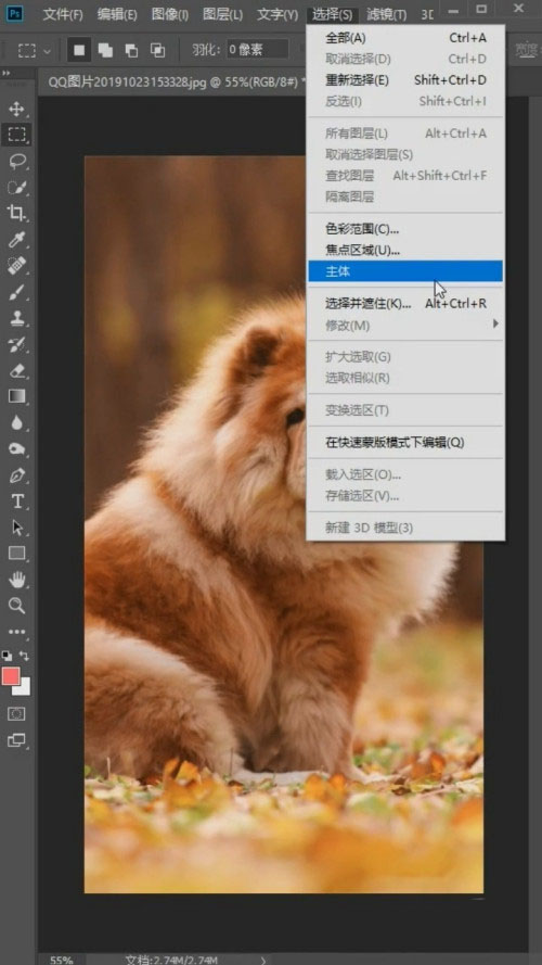 Photoshop怎么抠狮子狗(Photoshop抠狮子狗教程) Photoshop怎么抠狮子狗(Photoshop抠狮子狗教程)