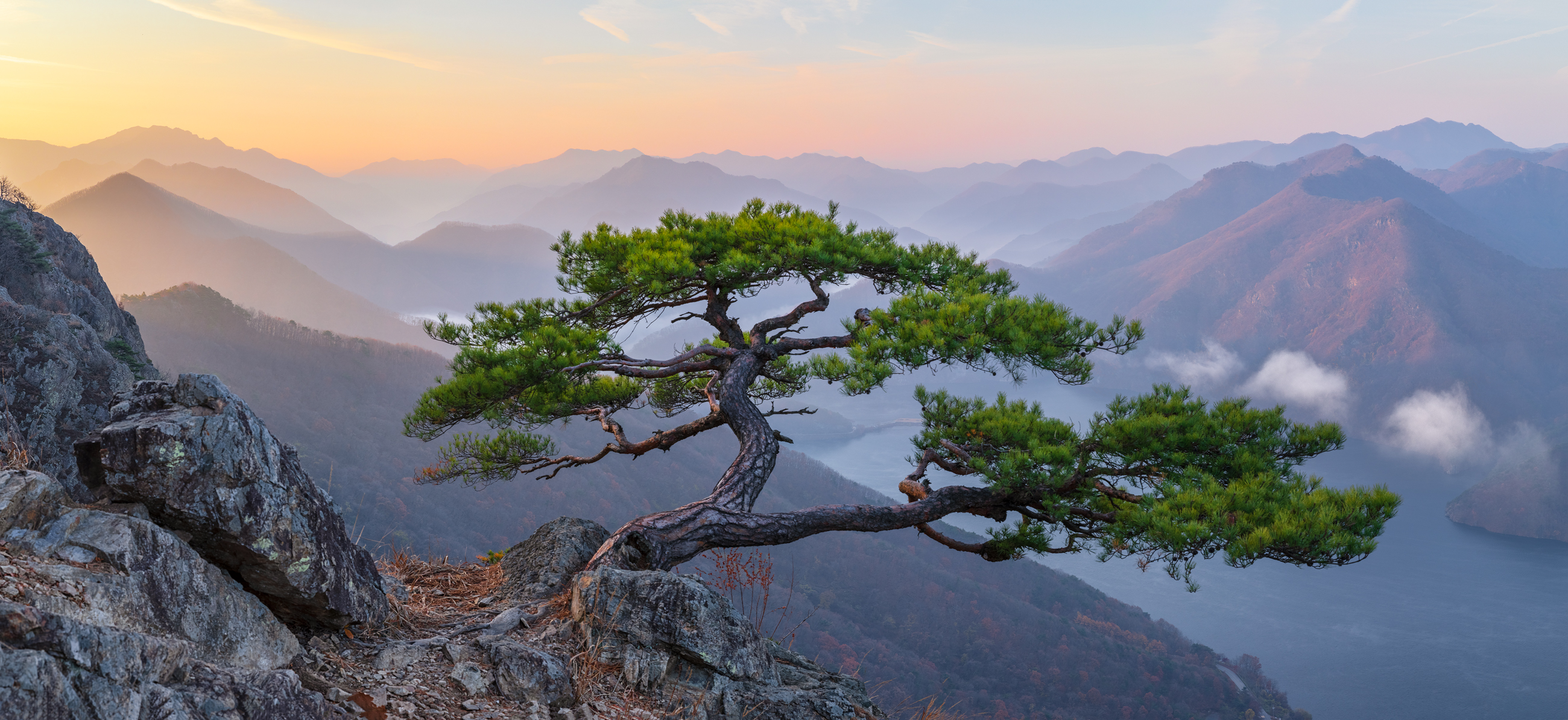 壁纸社背景 高清桌面 种草 原画质图 百搭桌面背景
