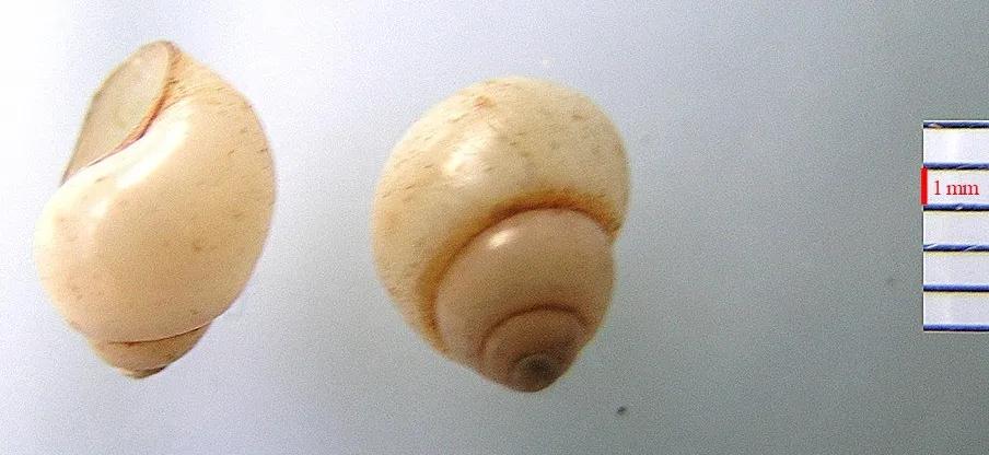 涵螺 微信图片_20201015162233.jpg