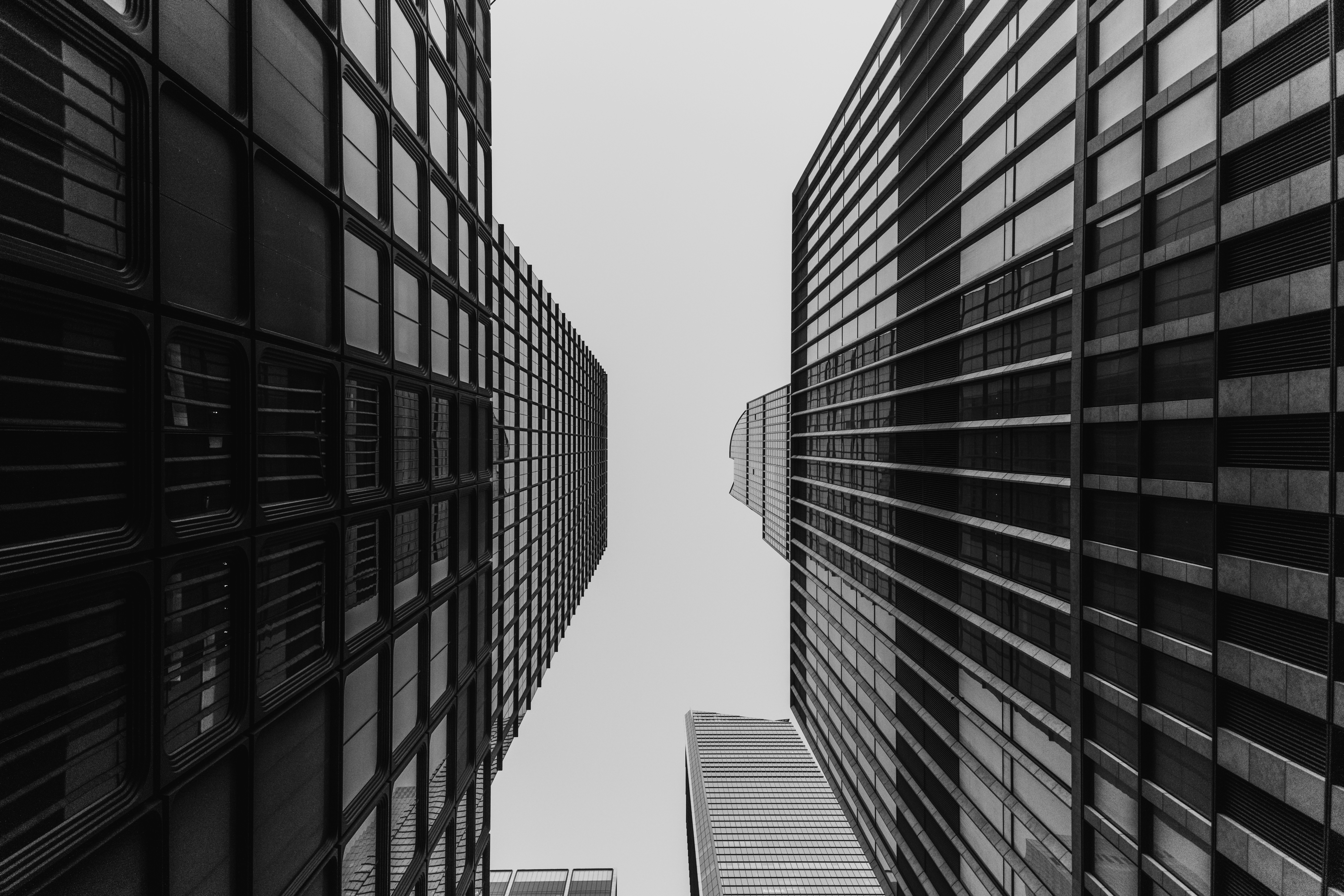 Snake壁纸 #37041