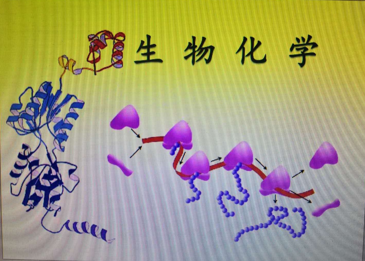 生物化学课程封面