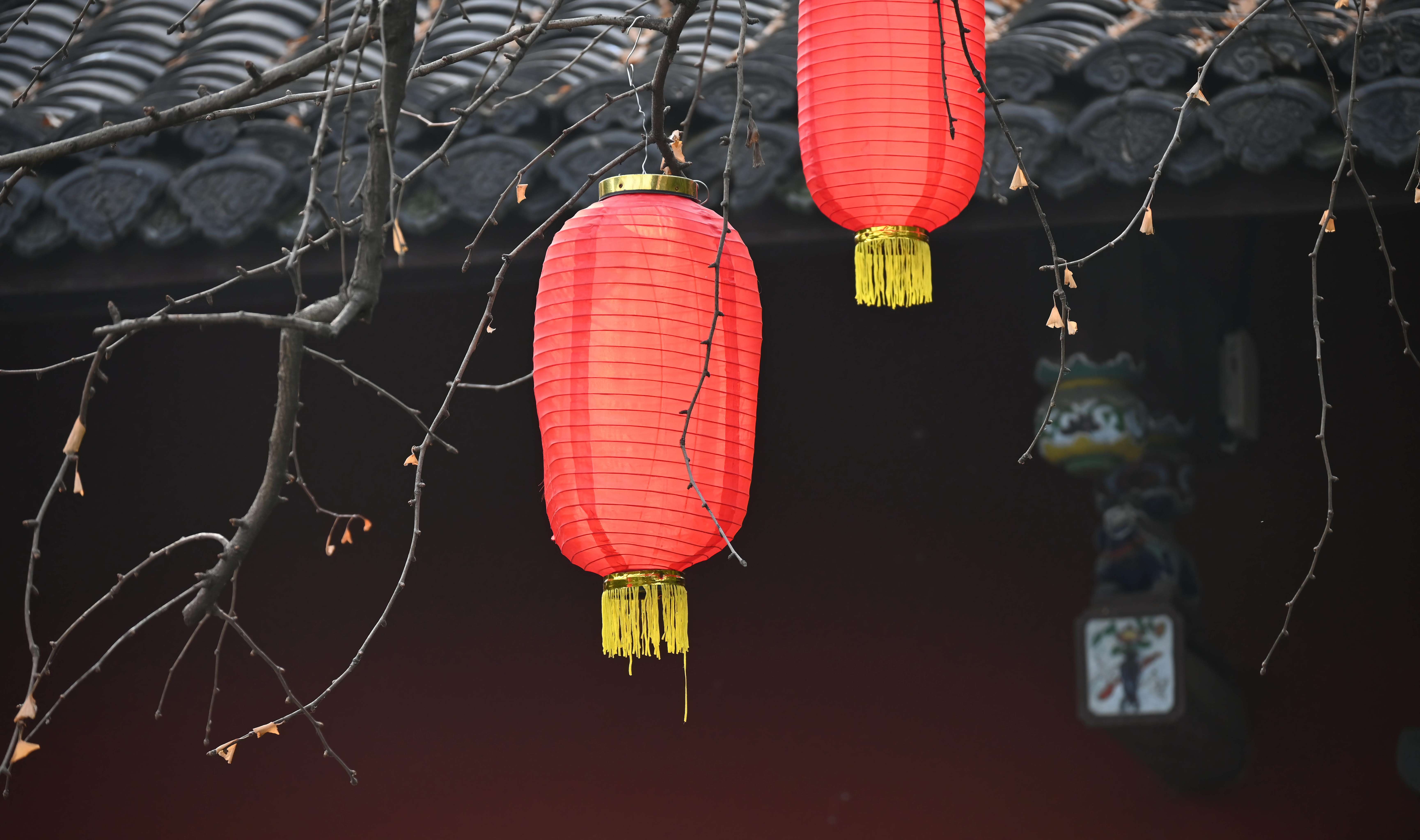 Snake壁纸 #8485