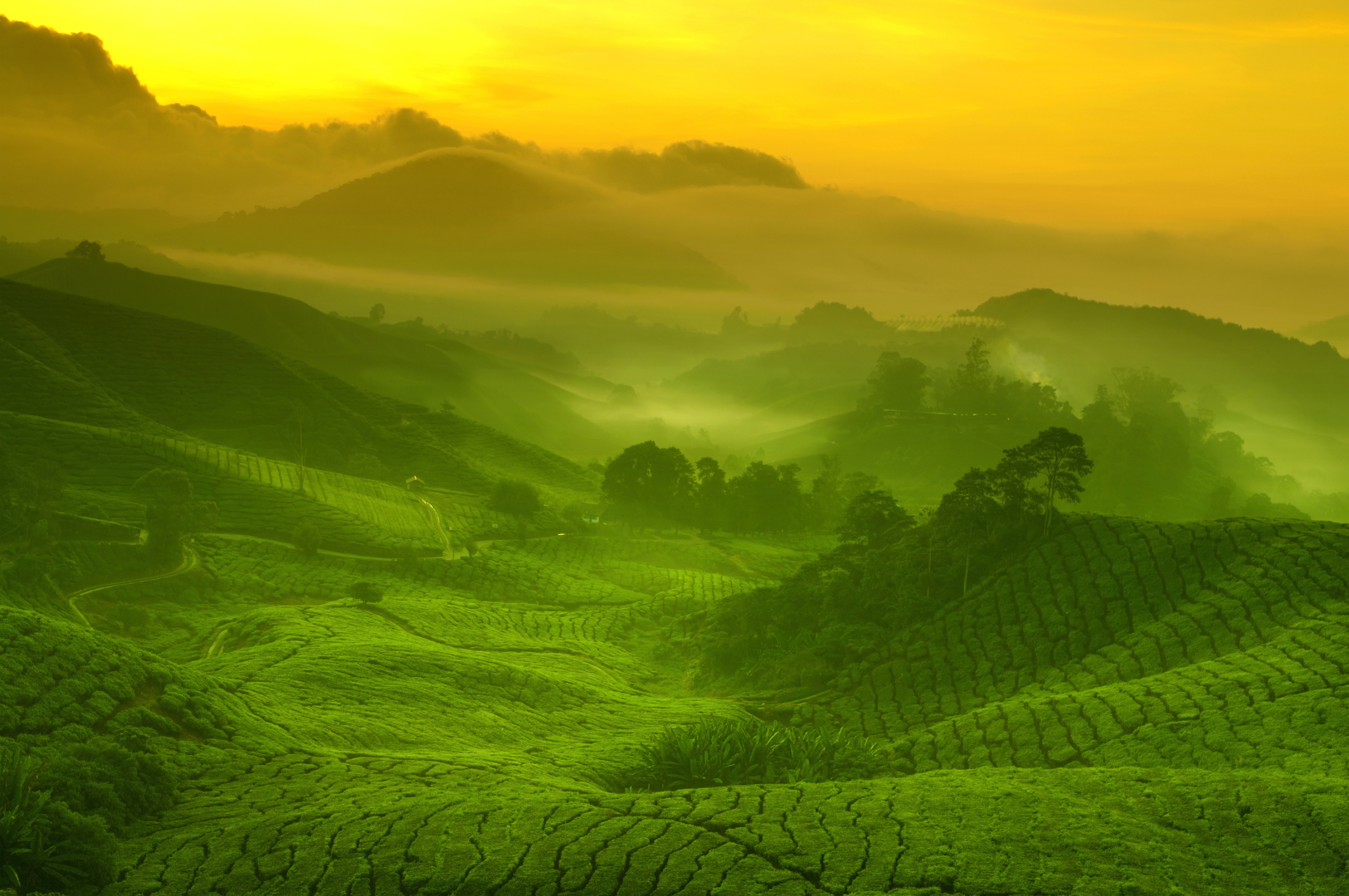 彼岸热门壁纸 高分辨率 屏保背景 每日更新