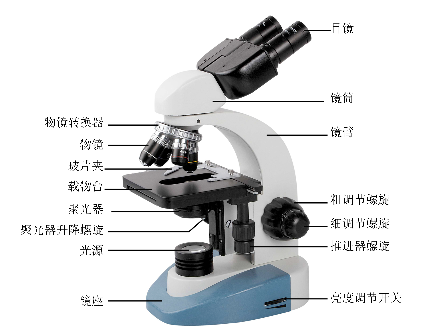 显微镜构造.png