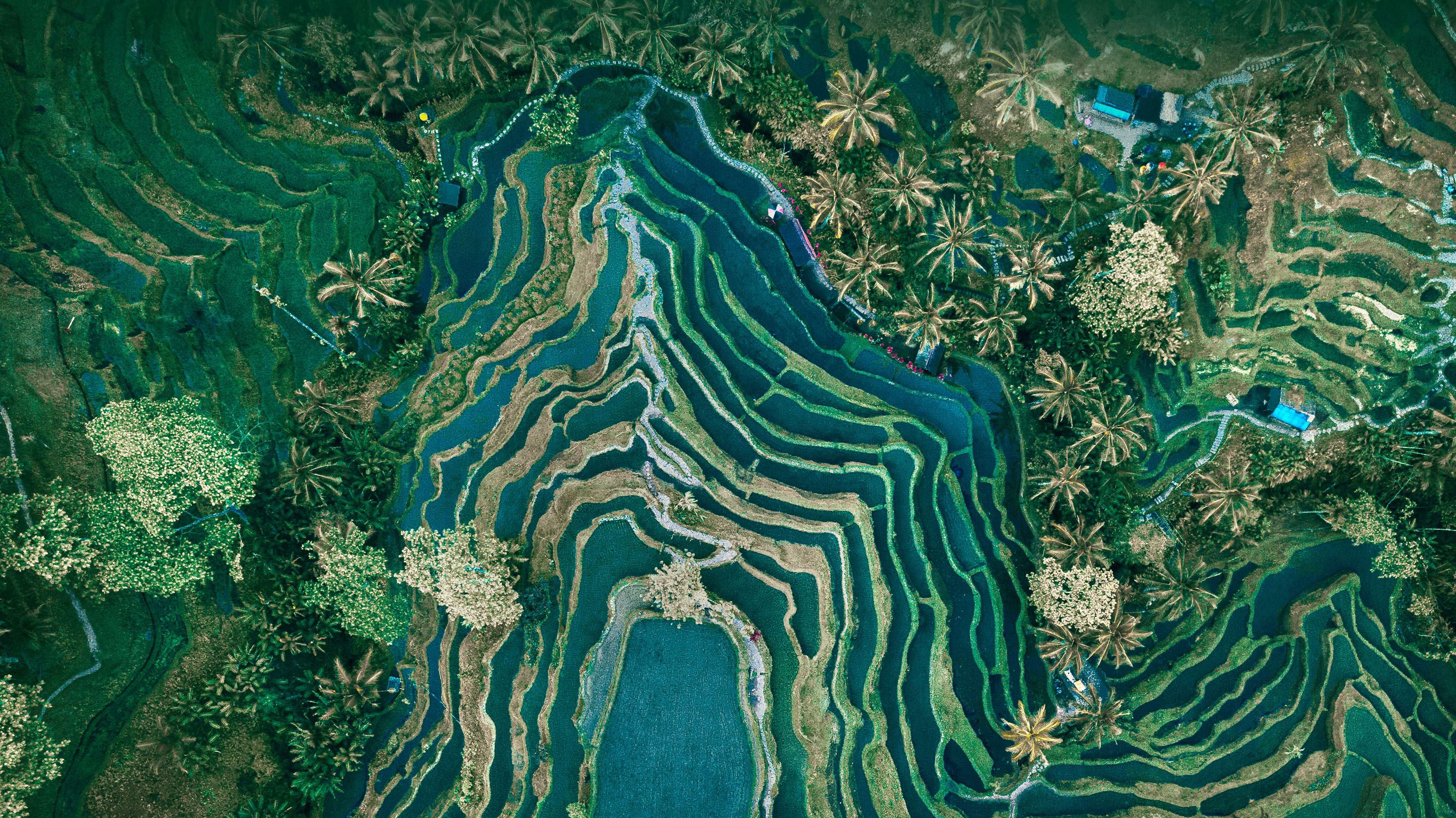 超清大图壁纸 大气 画面 日常桌面首选 #28281