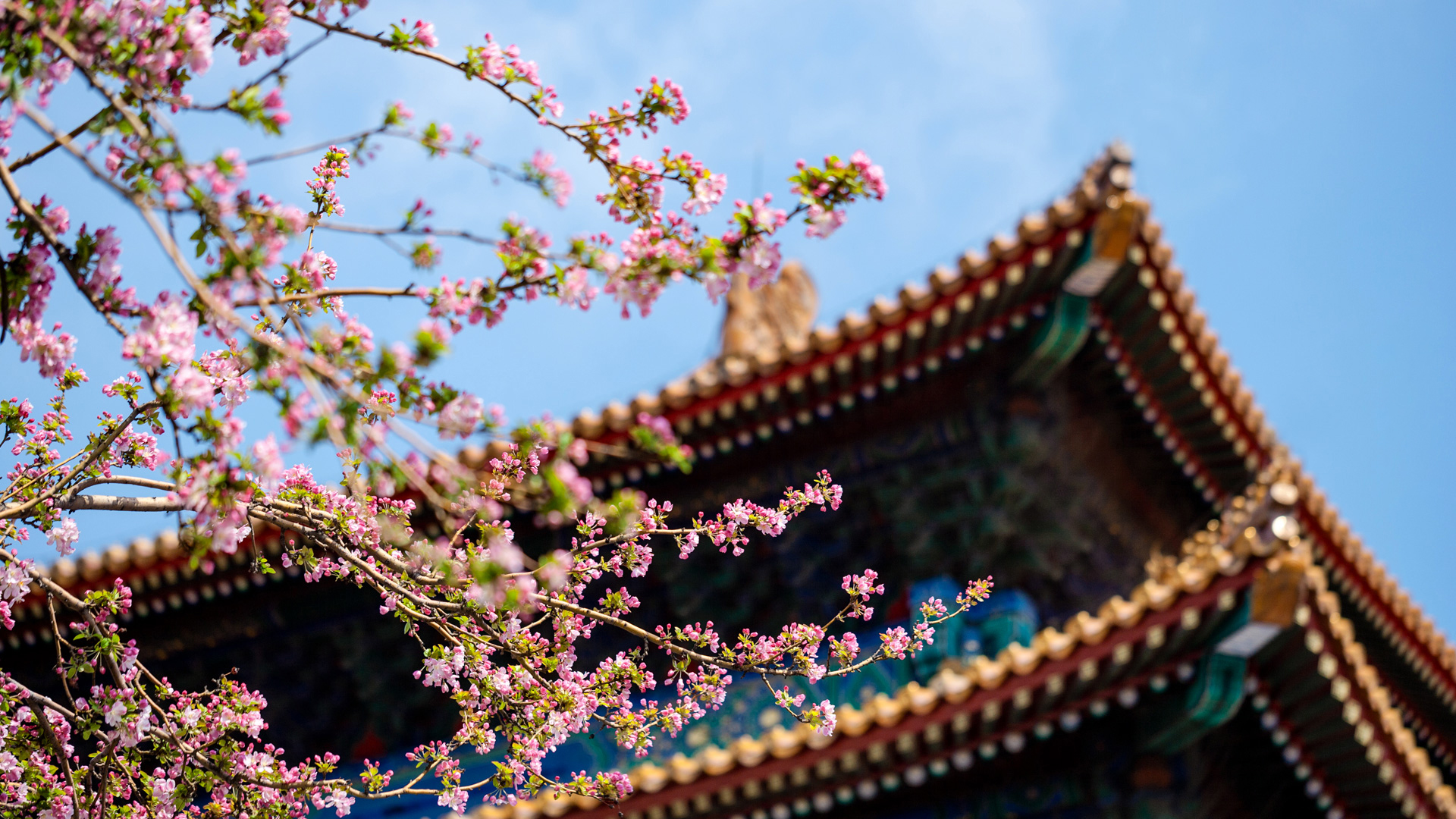 紫禁城岁时