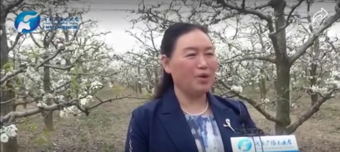 省台报道宁陵文广旅局局长高敏：宁陵以花为媒促进三产融合发展