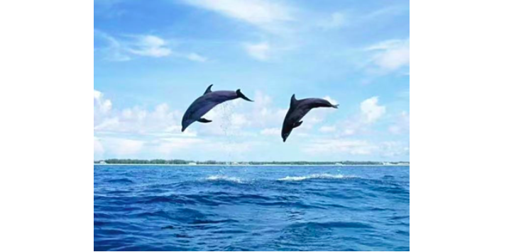 屏幕快照 2021-03-03 下午4.34.31.png