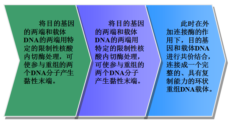 课程门户-章节详情