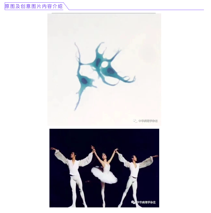 屏幕快照 2021-03-03 下午5.20.02.png