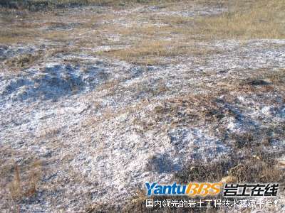 盐渍土(1).jpg