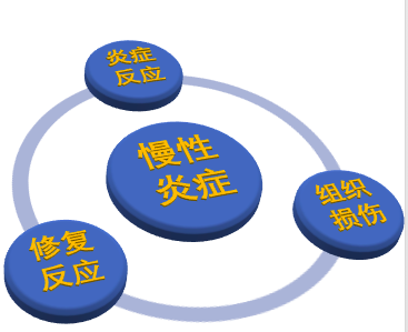 屏幕快照 2021-03-19 下午2.48.37.png