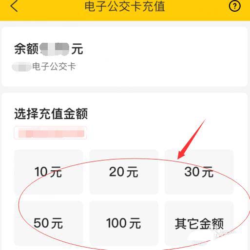 美团电子公交卡怎么充值并坐公交车(美团电子公交卡充值并坐公交车的教程介绍) 美团电子公交卡怎么充值并坐公交车(美团电子公交卡充值并坐公交车的教程介绍)