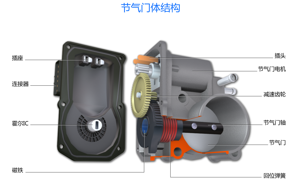 节气门体结构(1).png