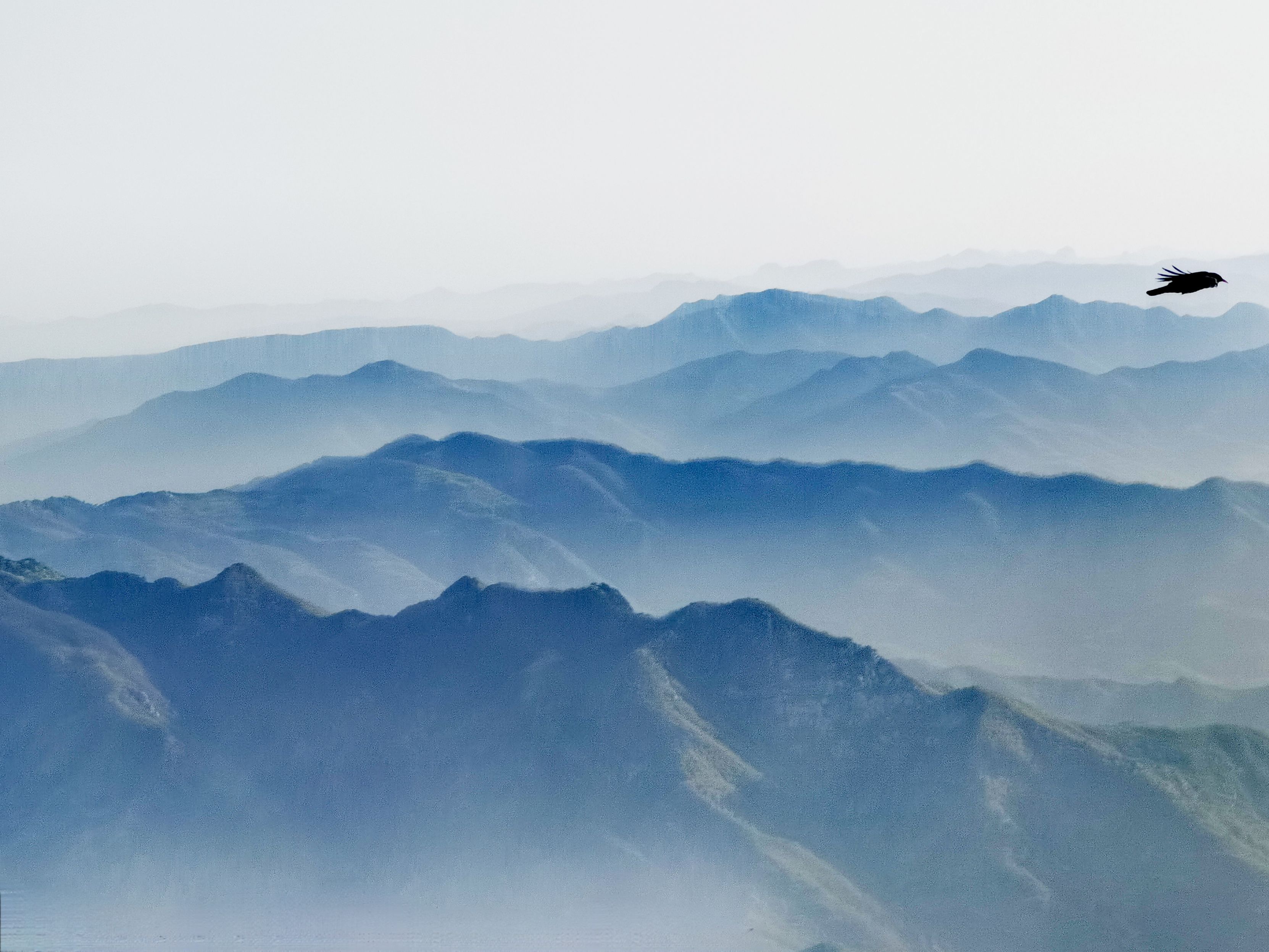 见山寻侧光 见水拍倒影