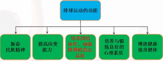 排球运动功能.png