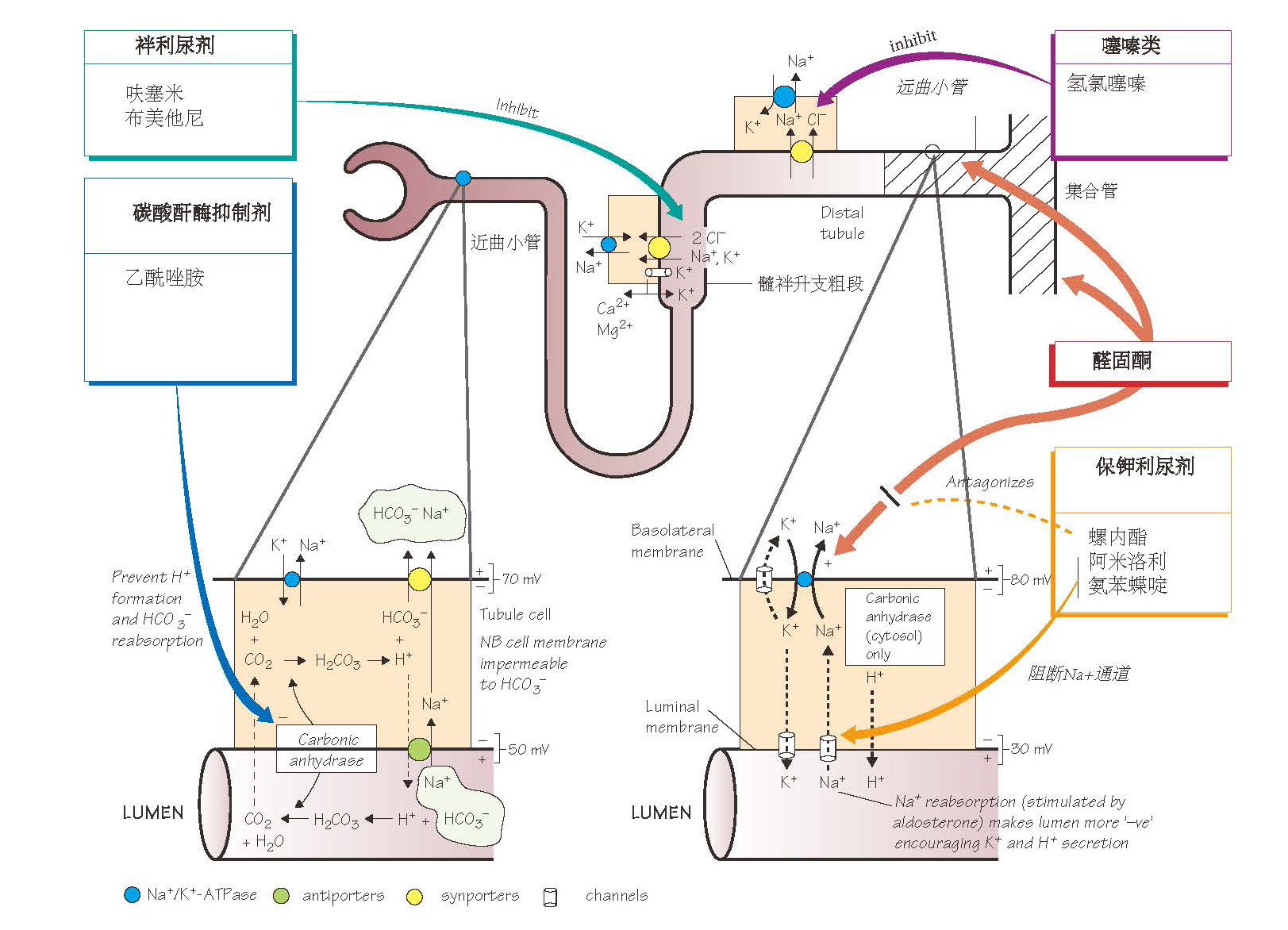 课程门户-章节详情