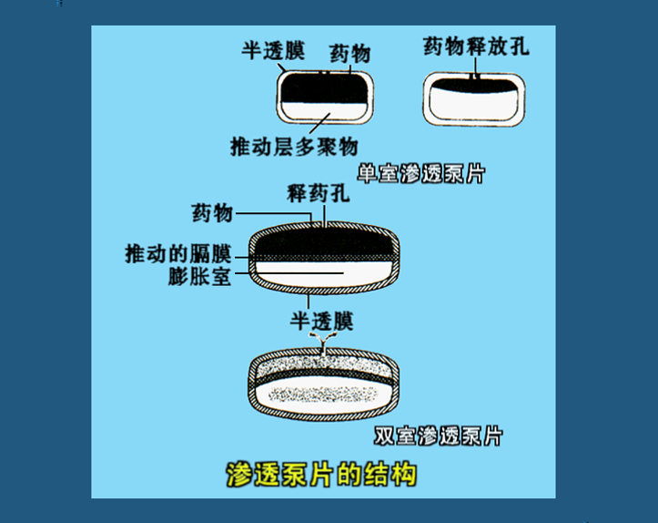 课程门户-章节详情