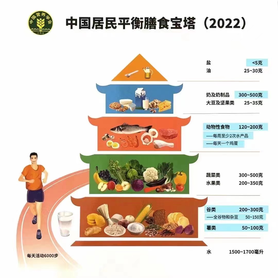 中国居民平衡膳食宝塔(2022).jpg