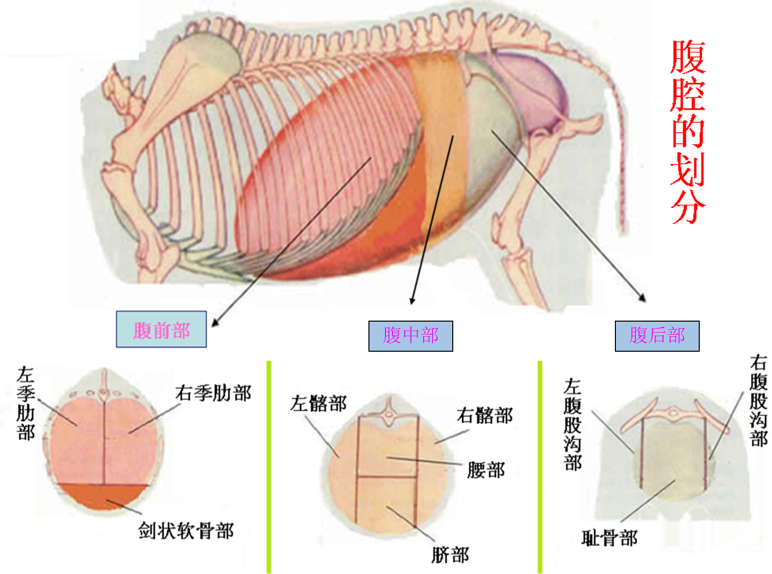 图片3.png