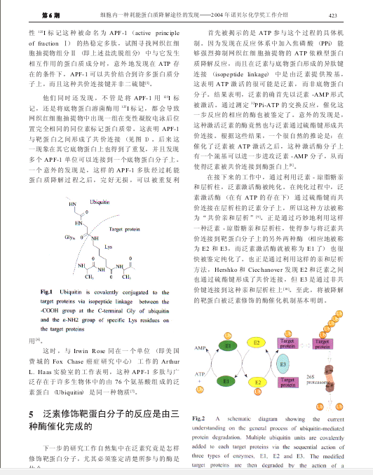 细胞内一种耗能蛋白质降解途径的发现——2004年诺贝尔化学奖工作介绍-3.png