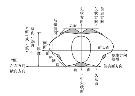 全屏显示 专题 章节