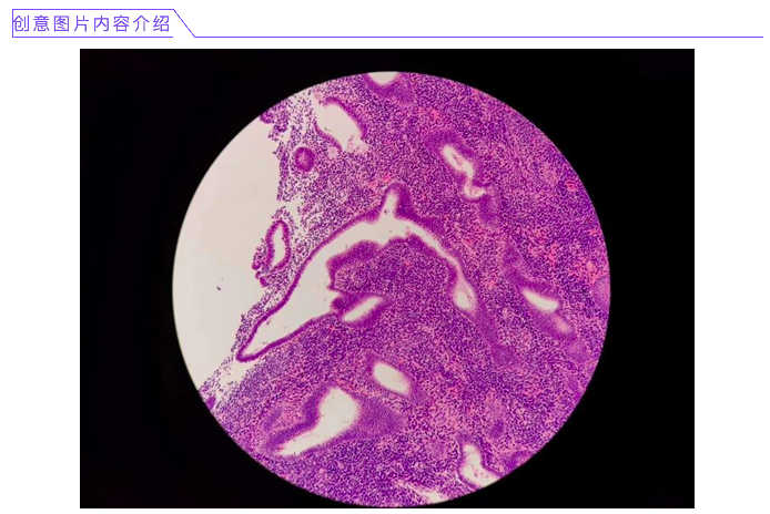 屏幕快照 2021-03-03 下午4.34.18.png