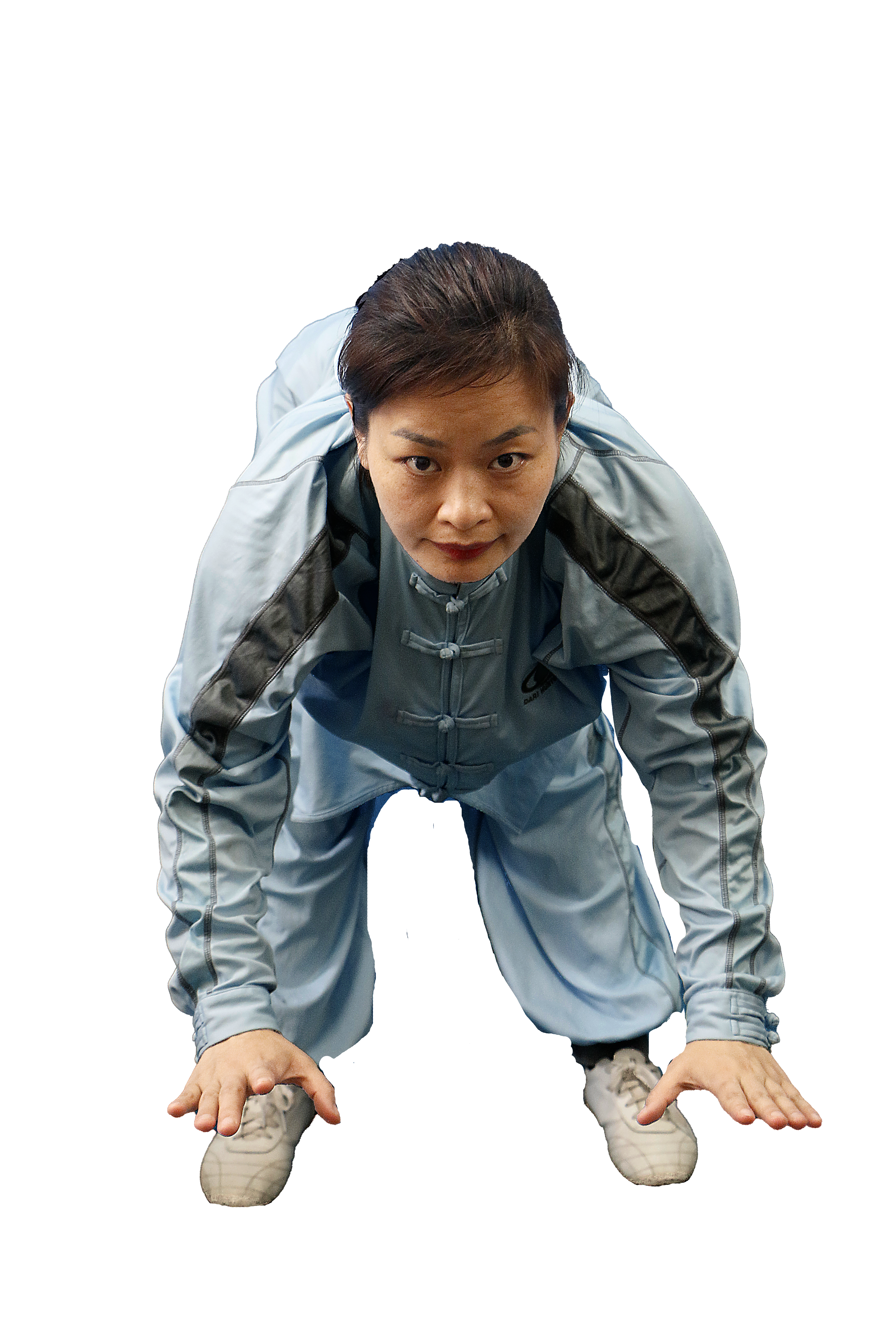 第五式 鸟伸.png