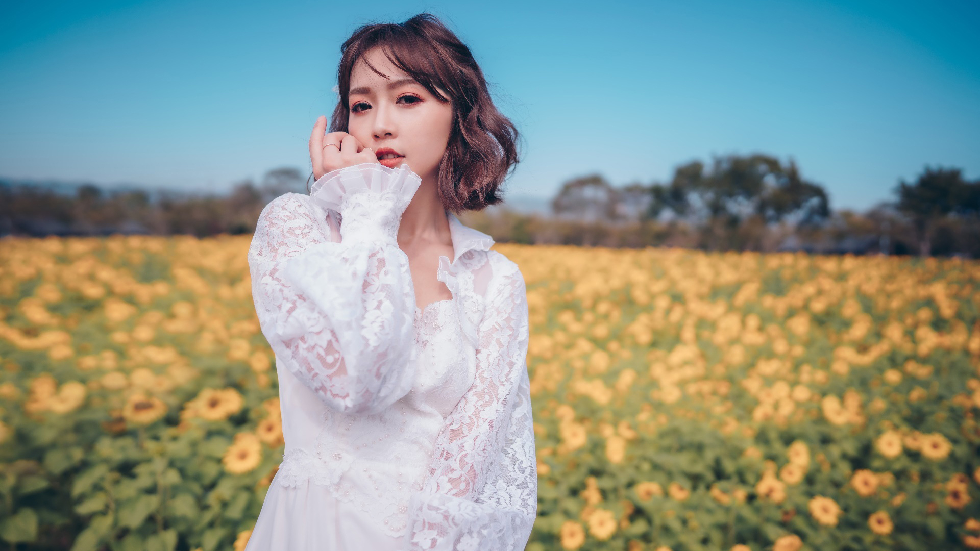 优质桌面背景 日常 优质图 电脑桌面专用 #26179