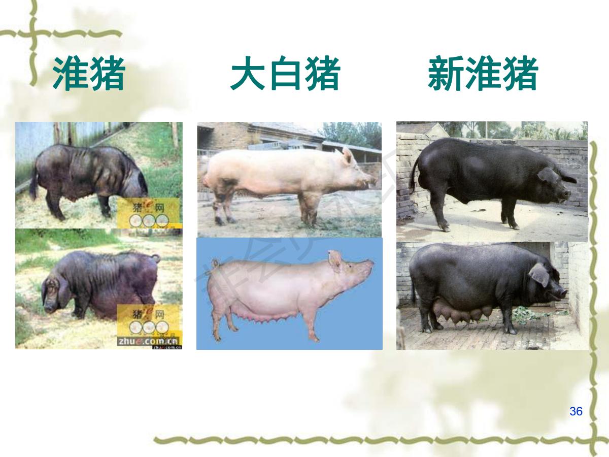 课程门户-章节详情