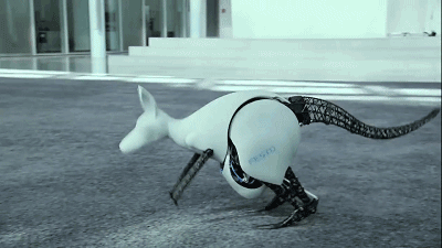 仿生袋鼠3.gif
