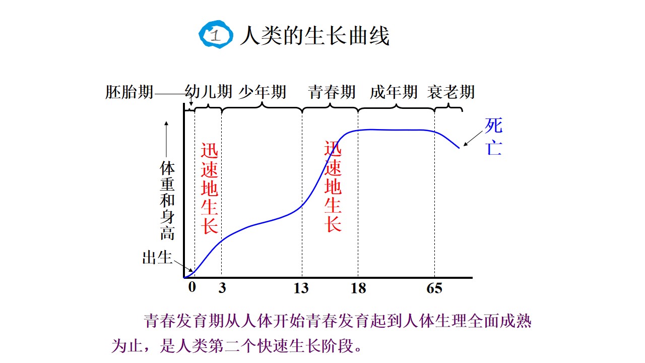幻灯片6.jpg