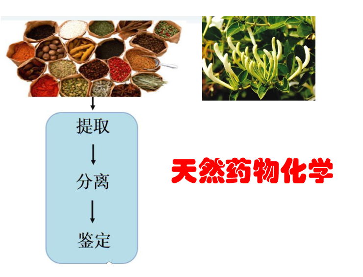 天然药物化学课程封面