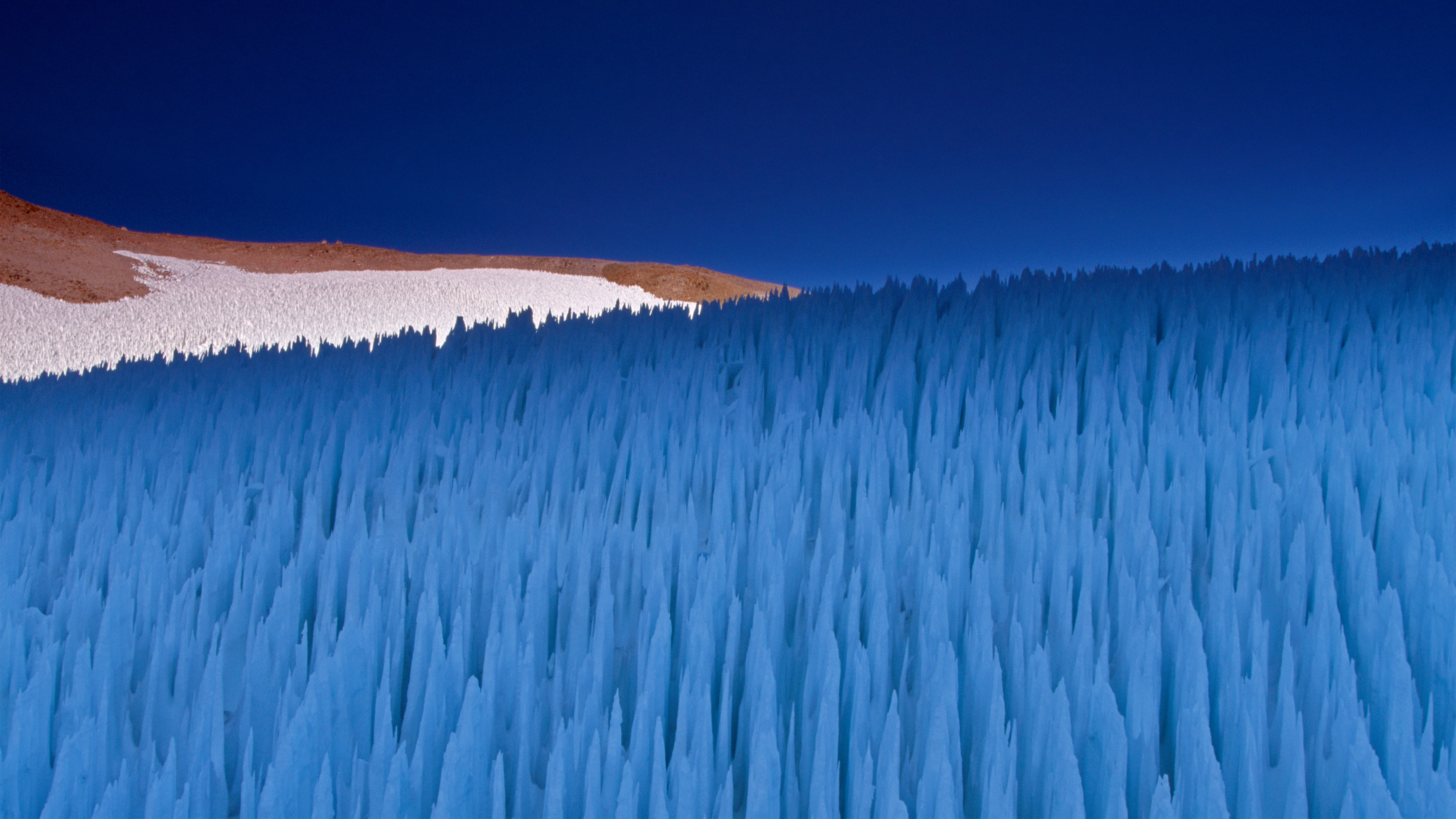 Snake壁纸 #3638