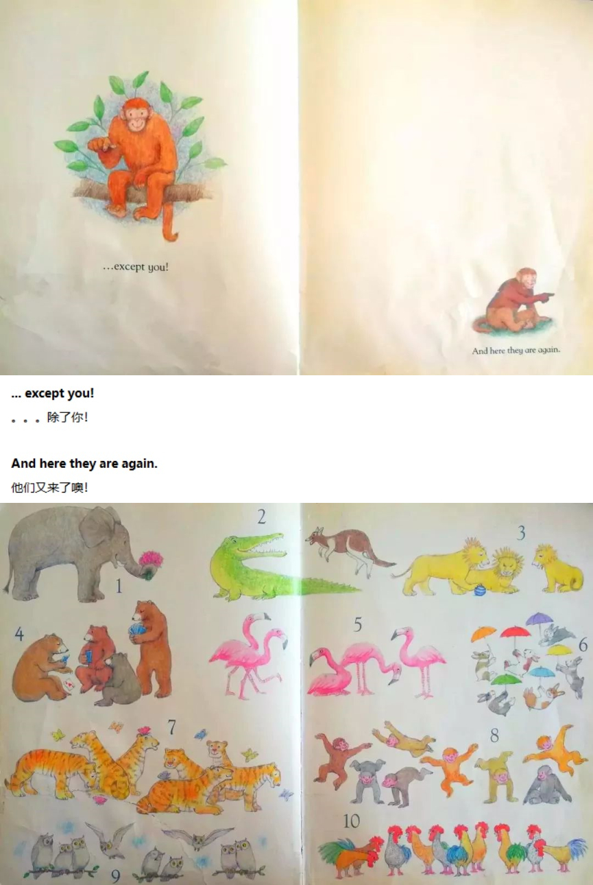 《One Night in the Zoo》动物园之夜10.jpg