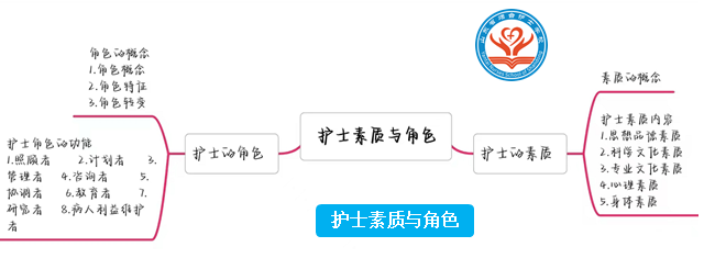 护士素质与角色.png