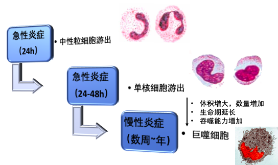 屏幕快照 2021-03-19 下午3.30.26.png