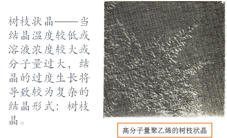 课程门户-章节详情
