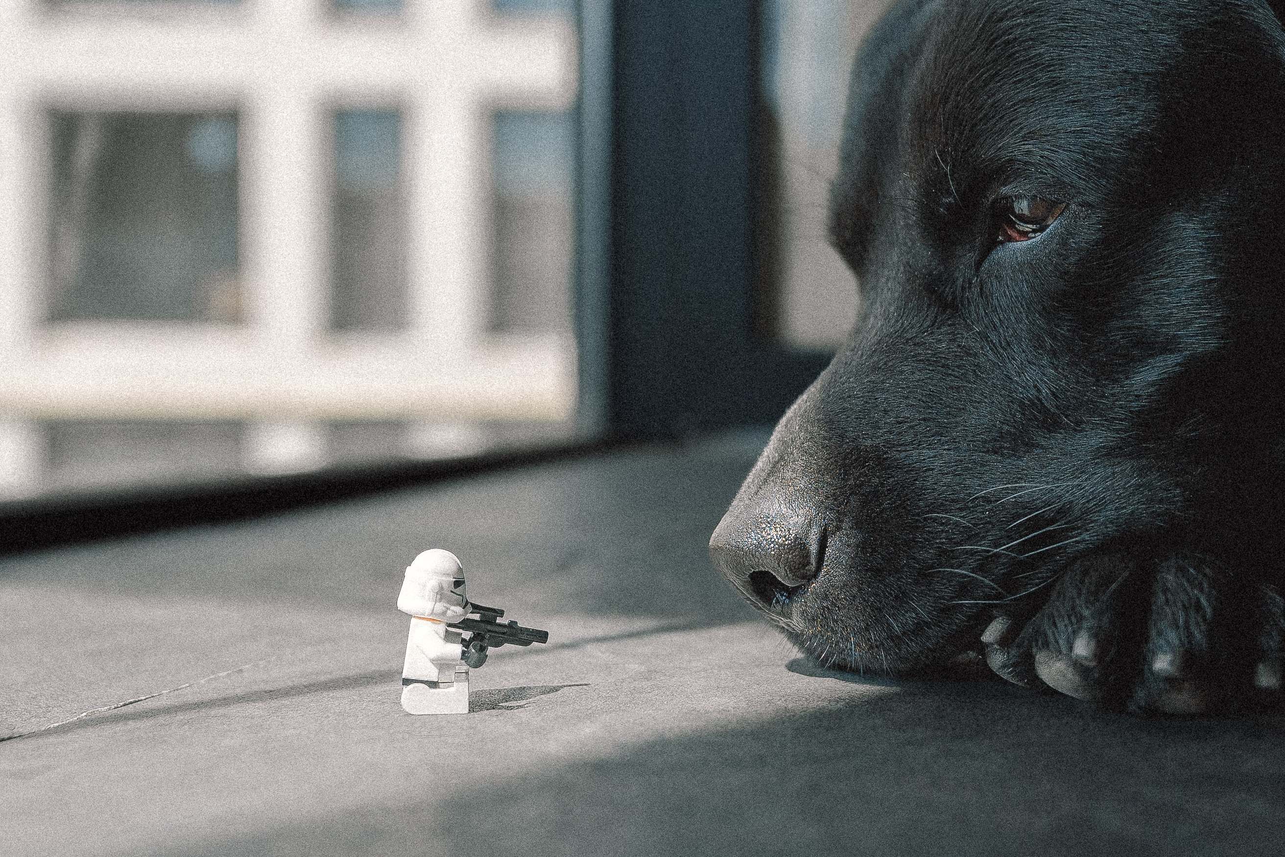 超清全屏壁纸 简约 原图 通用桌面背景 #26558