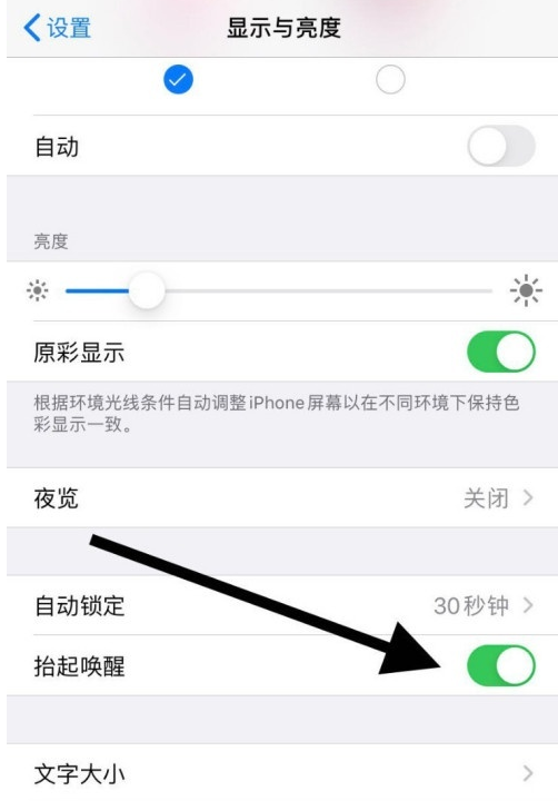 苹果12怎么启用抬起唤醒功能(苹果12设置抬起唤醒方法) 苹果12怎么启用抬起唤醒功能(苹果12设置抬起唤醒方法)