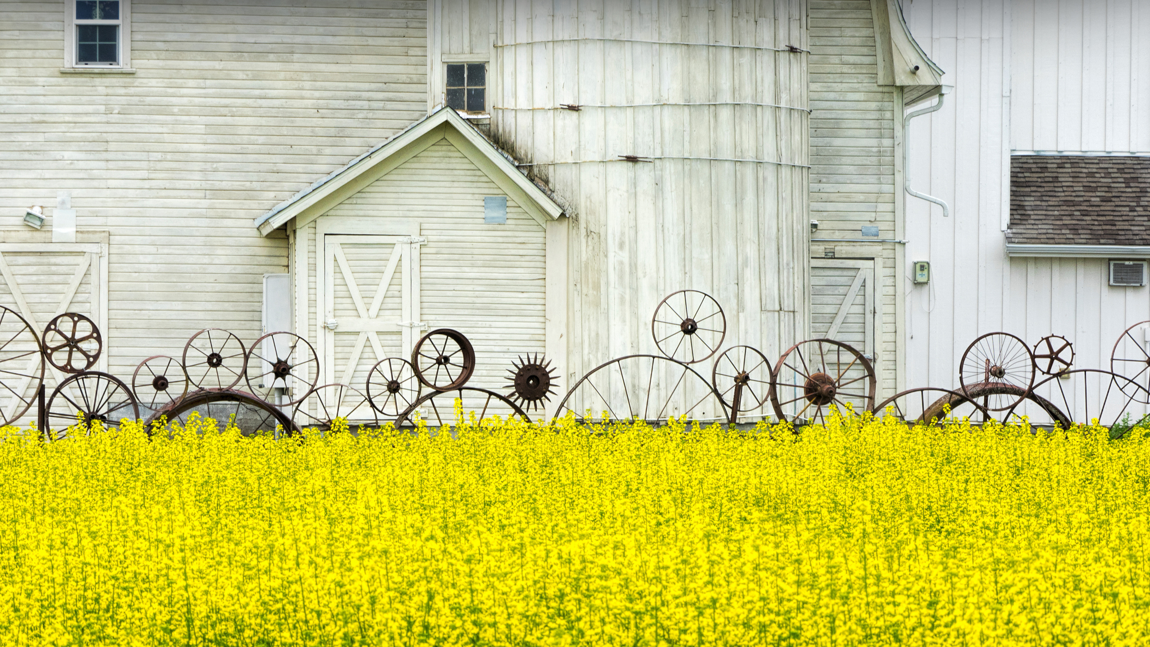 Snake壁纸 #28777