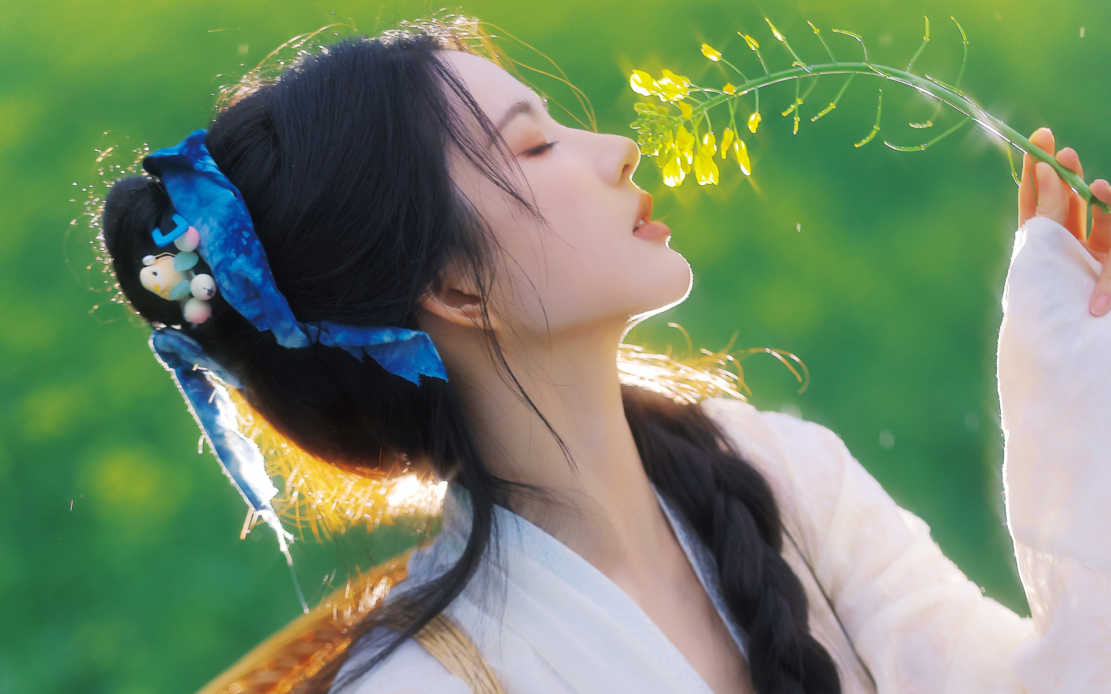 彼岸精选壁纸 高清版 手机桌面 护眼舒适