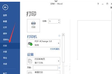 解决在Word2013中出现无法打印图片的图文教程 解决在Word2013中出现无法打印图片的图文教程