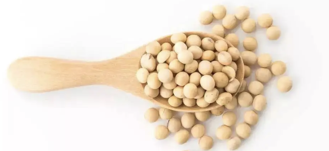 截屏2022-08-27 15.17.05.png